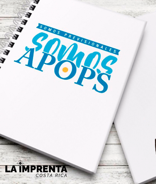 Agendas Personalizadas 2025 ¡Más que una imprenta online!